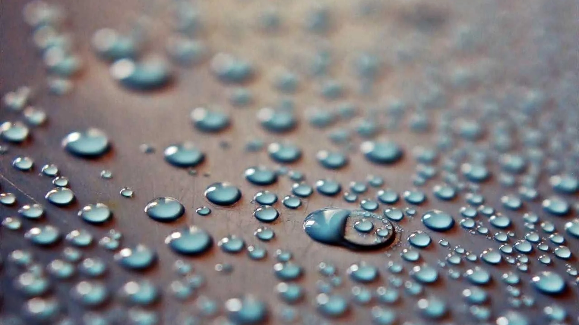 Premium Ceramic Coating